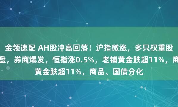 金領(lǐng)速配 AH股沖高回落！滬指微漲，多只權(quán)重股尾盤競價遭拋盤，券商爆發(fā)，恒指漲0.5%，老鋪黃金跌超11%，商品、國債分化